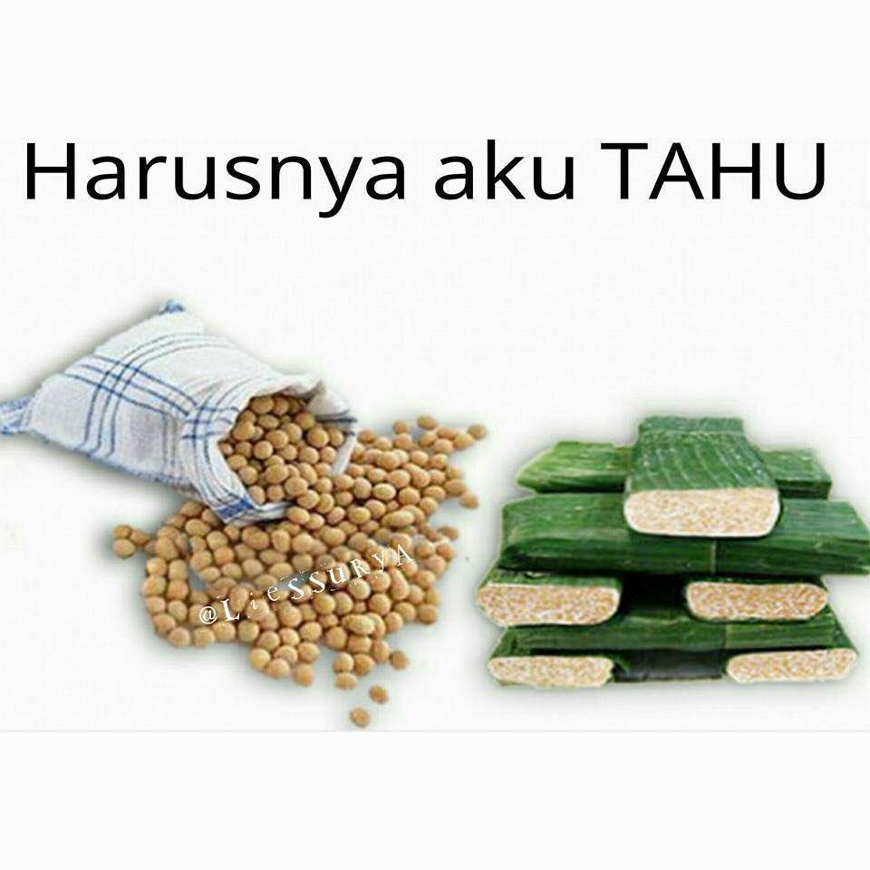 Lagi, 16 meme tahu yang membuatmu bakal semakin tahu, hehehehe... Lagi, 16 meme tahu yang membuatmu bakal semakin tahu, hehehehe...