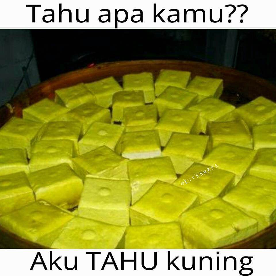 Lagi, 16 meme tahu yang membuatmu bakal semakin tahu, hehehehe... Lagi, 16 meme tahu yang membuatmu bakal semakin tahu, hehehehe...