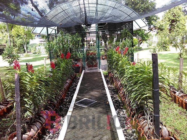 Yuk, intip tempat kerja presiden di Yogyakarta
