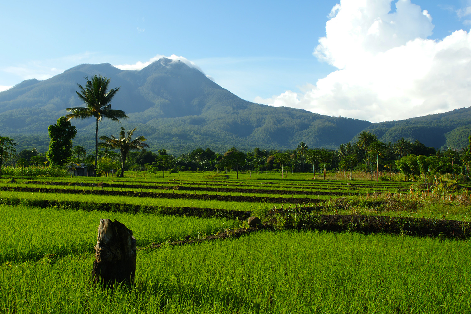 7 Nasihat investasi orangtua ini tak diduga ternyata benar, wow!