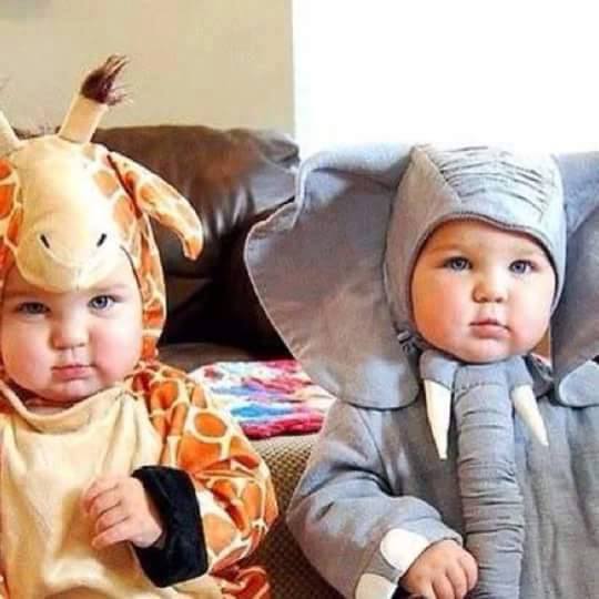 25 Foto imut bayi memakai kostum hewan, bikin pingin punya momongan 25 Foto imut bayi memakai kostum hewan, bikin pingin punya momongan