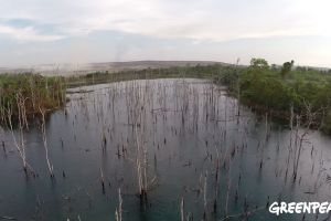Foto-foto kerusakan alam di Kalimantan akibat tambang batubara