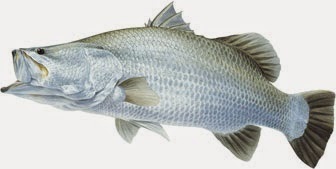 10 Ikan terbaik dunia versi PBB, 8 ikan punya Indonesia, bikin bangga!