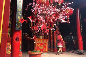 Meriahnya Imlek Monyet Api di klenteng Hok Tik Bio, gong xi fa cai!