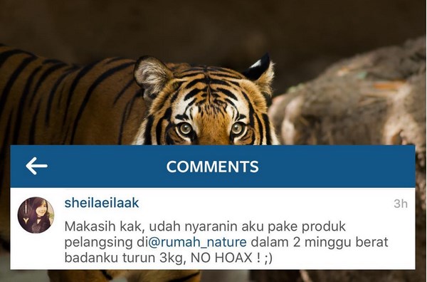 Cerita lucu Deddy ancam obrak-abrik online shop yang ngiklan sembarang Cerita lucu Deddy ancam obrak-abrik online shop yang ngiklan sembarang