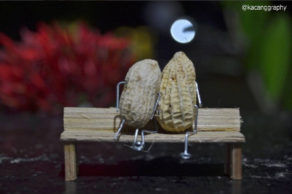 Kacang tanah bisa dikreasi jadi karya seni keren, berikut buktinya!