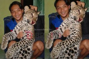 Lagi, netizen unggah pembunuhan hewan langka, duh!