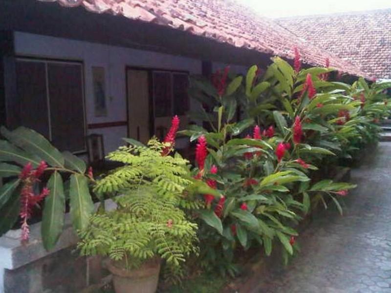 10 Hotel murah di Lombok ini mendukung banget buat traveling 10 Hotel murah di Lombok ini mendukung banget buat traveling