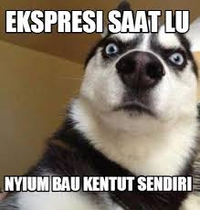 22 Meme kentut ini kocak abis, bikin ketawa lepas!