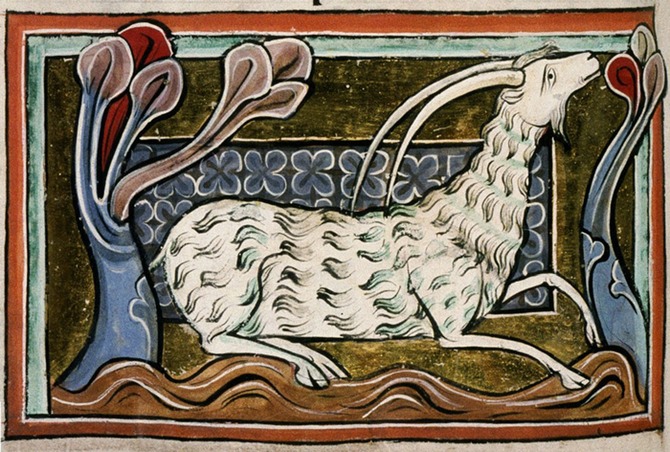 5 Keyakinan aneh soal berewok ini perlu kamu tahu, ngeri ya! 5 Keyakinan aneh soal berewok ini perlu kamu tahu, ngeri ya!