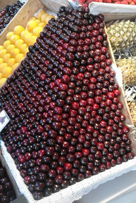 Foto-foto dedikasi pekerja terhadap pekerjaannya yang membuat kagum