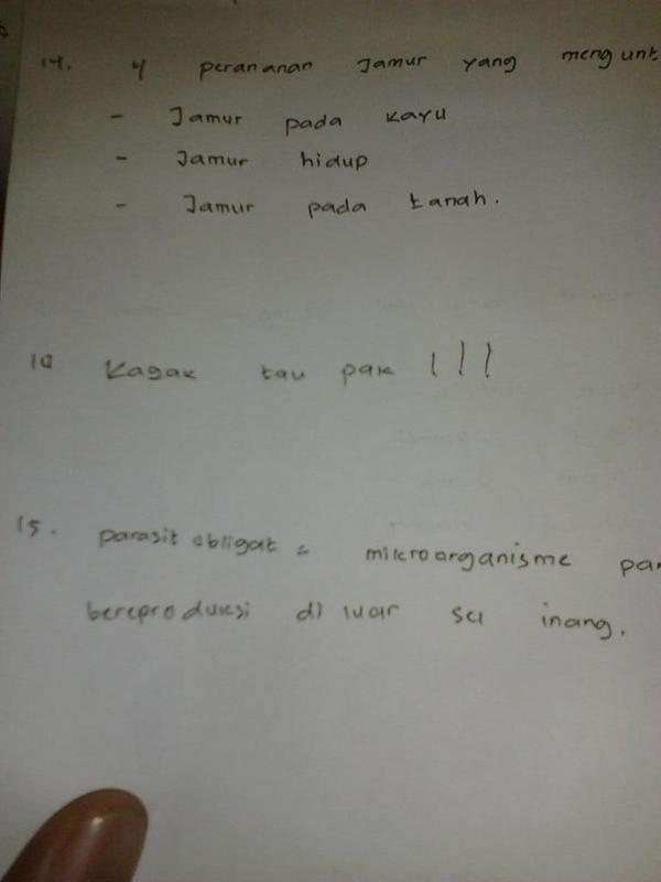 30 Jawaban ujian sekolah ini lucunya kebangetan, bikin ngakak seharian