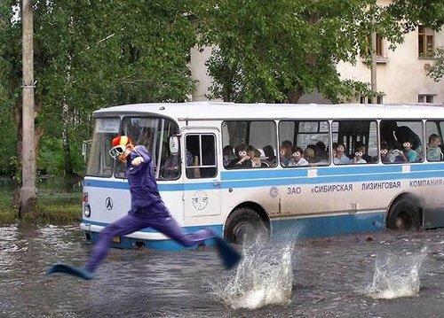 30 Tingkah konyol yang tak terduga ini bikin geleng-geleng kepala!