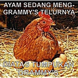 20 Meme lucu Grammy Awards 2016 ini bikin ngakak guling-guling