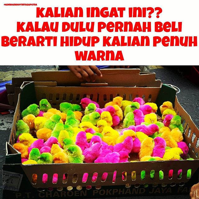 Kalau kamu tertawa sendiri lihat 40 meme ini, masa kecilmu bahagia Kalau kamu tertawa sendiri lihat 40 meme ini, masa kecilmu bahagia