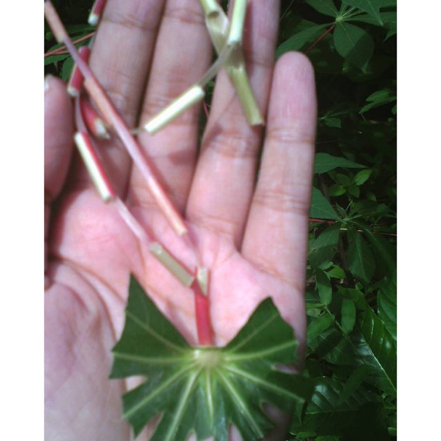 Kalau kamu tertawa sendiri lihat 40 meme ini, masa kecilmu bahagia Kalau kamu tertawa sendiri lihat 40 meme ini, masa kecilmu bahagia