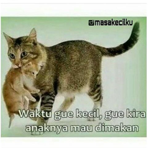 Kalau kamu tertawa sendiri lihat 40 meme ini, masa kecilmu bahagia Kalau kamu tertawa sendiri lihat 40 meme ini, masa kecilmu bahagia