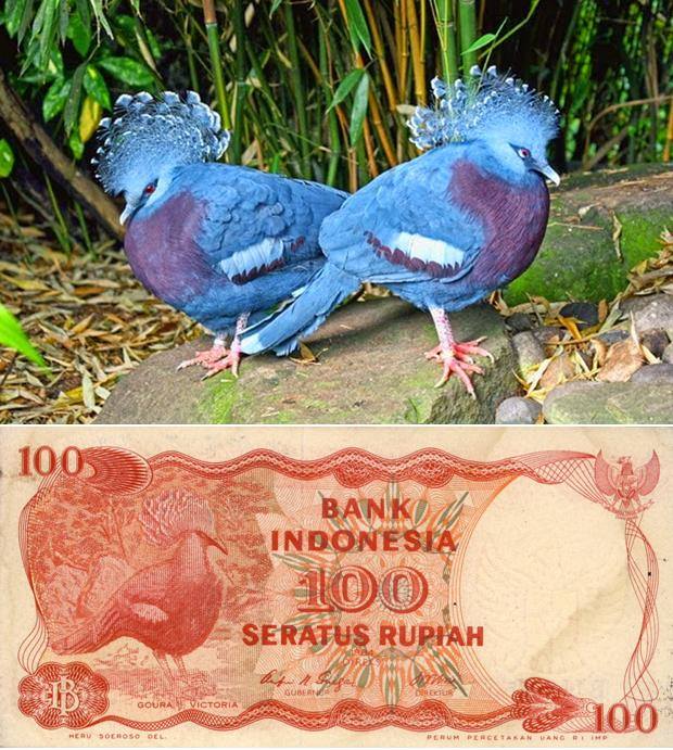 Ini objek asli yang dijadikan gambar pada 34 uang rupiah