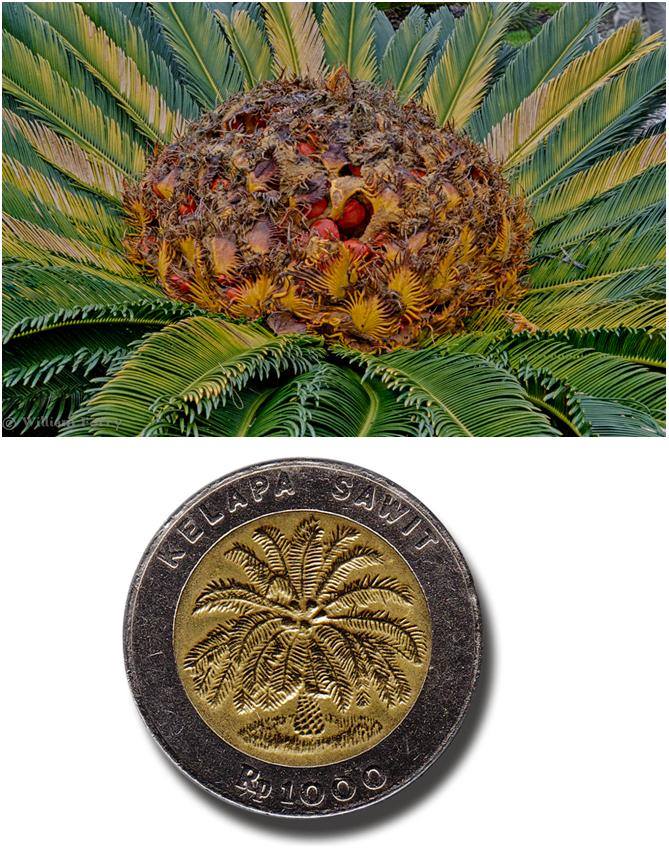 Ini objek asli yang dijadikan gambar pada 34 uang rupiah