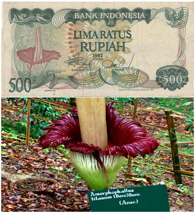 Ini objek asli yang dijadikan gambar pada 34 uang rupiah