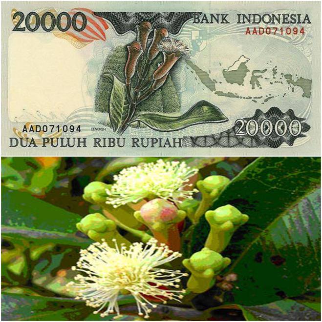 Ini objek asli yang dijadikan gambar pada 34 uang rupiah