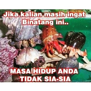 50 Meme kenangan tak tergantikan generasi 90an, bikin senyum lepas!