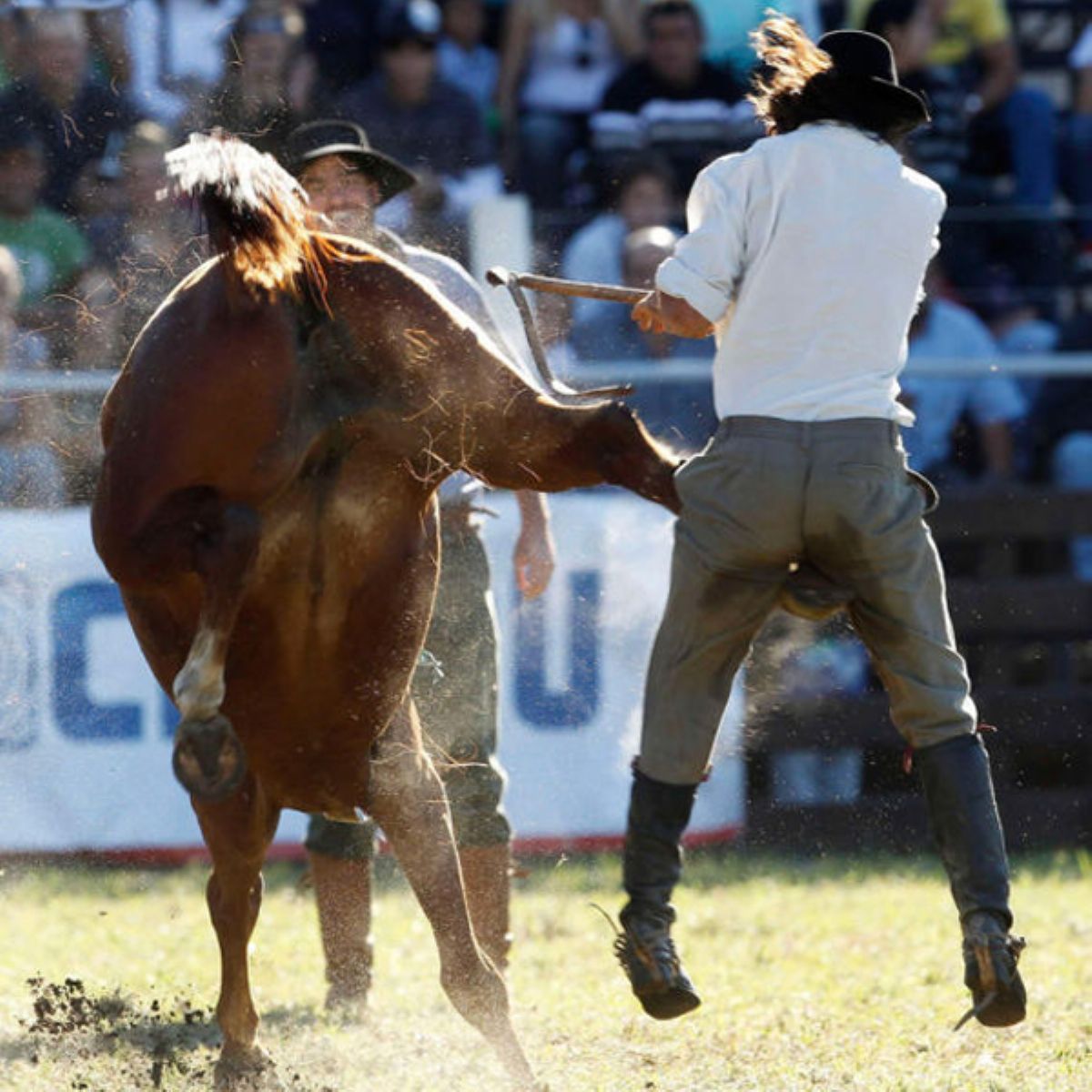 30 Foto kesialan ini bikin ketawa ngakak sampai mules, ada-ada saja!