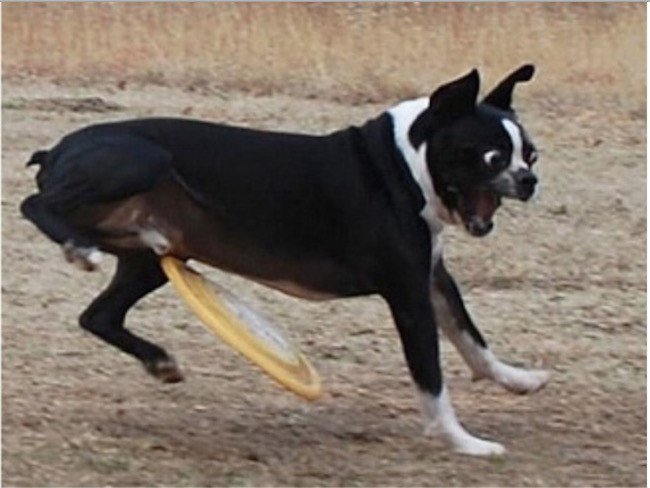 30 Foto kesialan ini bikin ketawa ngakak sampai mules, ada-ada saja!