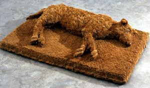 20 Keset lucu ini bikin kamu nggak tega untuk menginjaknya, suka deh!