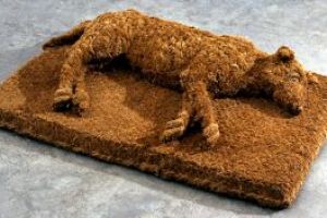 20 Keset lucu ini bikin kamu nggak tega untuk menginjaknya, suka deh!