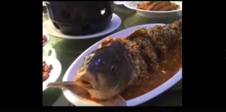 Cara masak ikan di restoran ini bikin banyak orang murka, kenapa ya?