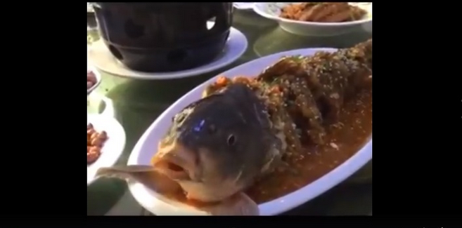 Cara masak ikan di restoran ini bikin banyak orang murka, kenapa ya?
