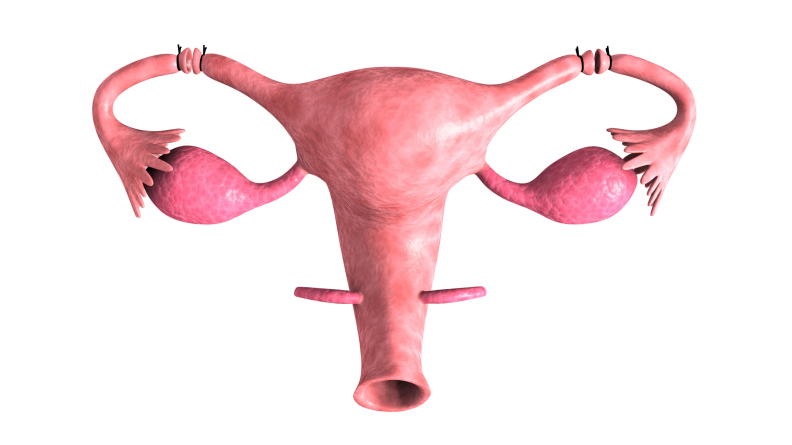 8 Penyebab kenapa menstruasimu nggak teratur, hayo jangan disepelekan! 8 Penyebab kenapa menstruasimu nggak teratur, hayo jangan disepelekan!