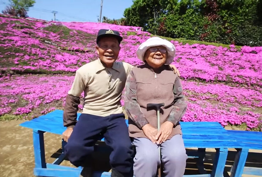 Pria ini 2 tahun menanam ribuan bunga untuk istrinya yang buta