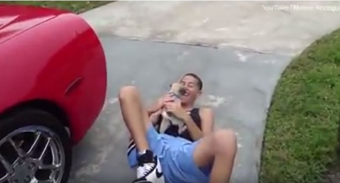 Tak diduga, tingkah orang dapat hewan peliharaan baru ini bikin haru