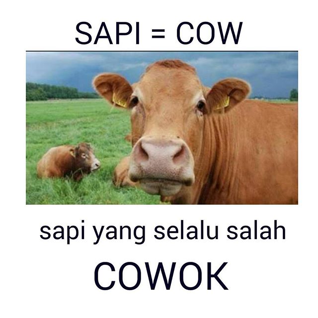 85 Kata-kata pelesetan bahasa Inggris ini lucu, bikin gemas sendiri 85 Kata-kata pelesetan bahasa Inggris ini lucu, bikin gemas sendiri