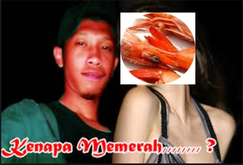 Pengetahuan umum ini wajib kamu tahu, biar terlihat agak pintar