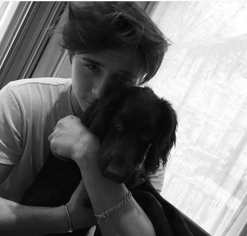 16 Foto si ganteng Brooklyn Beckham ini bikin hatimu klepek-klepek