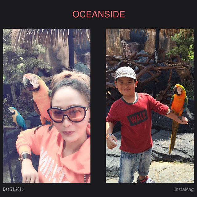 Kenalan yuk dengan Ivan, Anak Inul Daratista yang chubby menggemaskan Kenalan yuk dengan Ivan, Anak Inul Daratista yang chubby menggemaskan