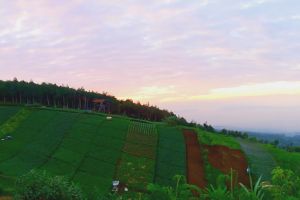 Indahnya pemandangan Bandung dari atas Bukit Moko