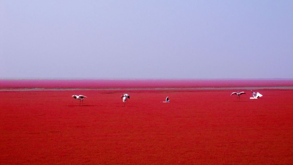 25 Foto membuktikan bumi tempat terindah, nomor 24 dekat denganmu!