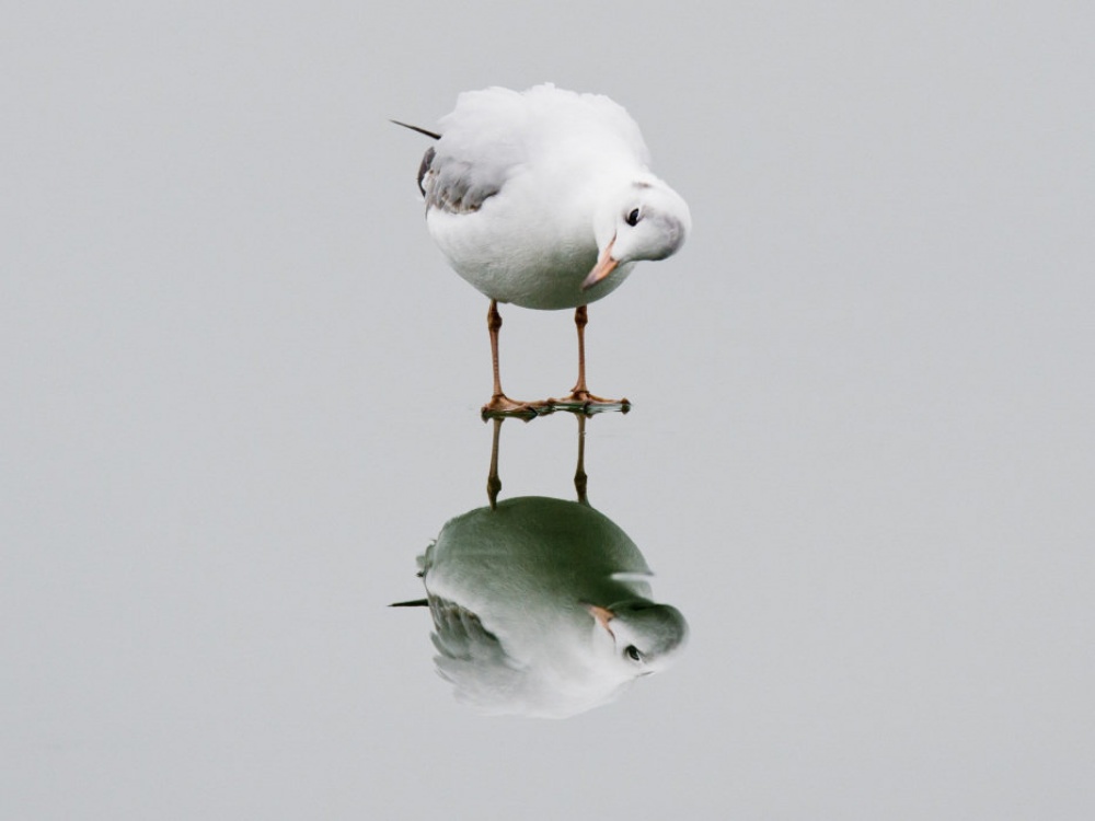 25 Foto membuktikan bumi tempat terindah, nomor 24 dekat denganmu!