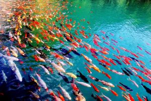 25 Foto membuktikan bumi tempat terindah, nomor 24 dekat denganmu!