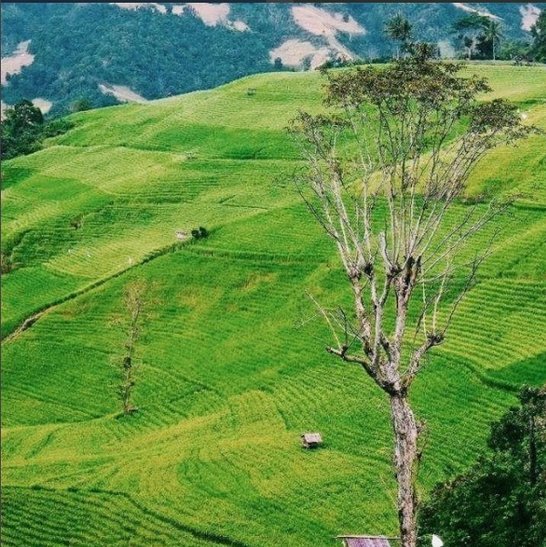 14 Destinasi wisata di Sulsel ini lebih keren dari Tana Toraja, wow!