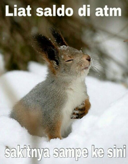 20 Meme saldo ATM yang tetap bikin kamu senyum meski belum gajian