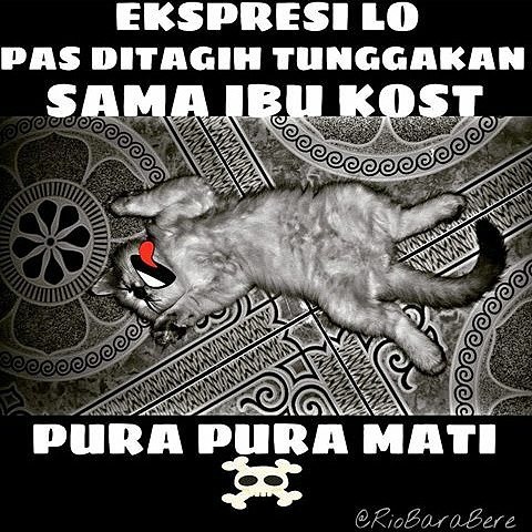 Lagi, 32 meme lika-liku hidup anak kos yang bikin ketawa ngakak