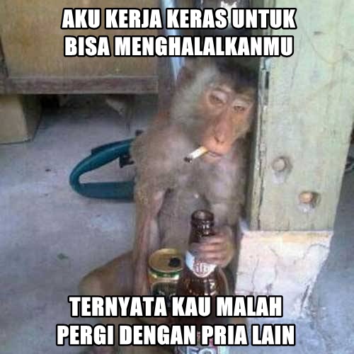 25 Meme kelakuan lucu monyet yang bikin ketawa ngakak