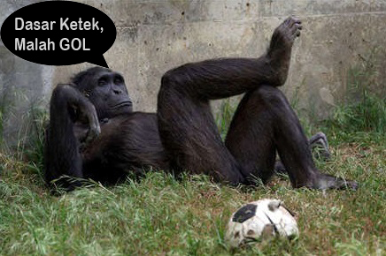 25 Meme kelakuan lucu monyet yang bikin ketawa ngakak