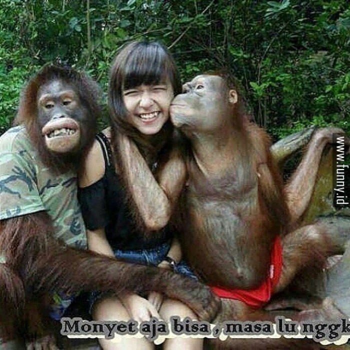 25 Meme kelakuan lucu monyet yang bikin ketawa ngakak