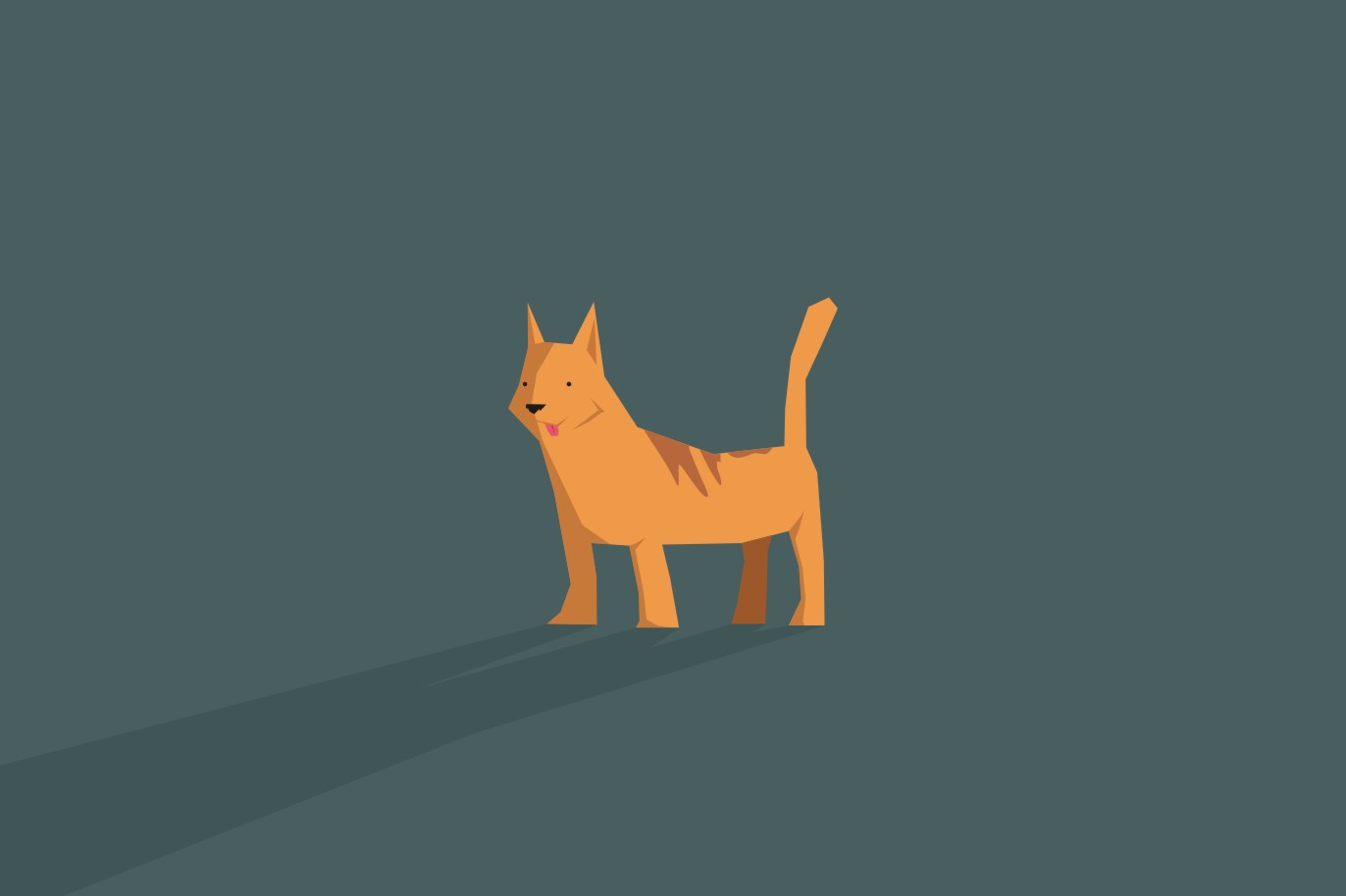 Ini alasan kucing menoleh saat dipanggil 'pus'